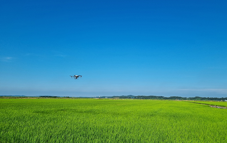 서산간척사업으로 만들어진 땅 위로 푸른 농지가 펼쳐집니다. 사진은 현대서산농장.